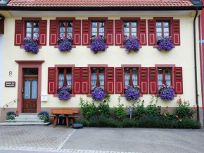Гостиница Haus am Bühl, Шёнау Шварцвальд